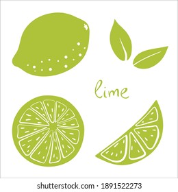 Lime, whole, half, slice and leaves. Colorful sketch collection of citrus fruits isolated on white background. Doodle hand drawn vegetables. Vector illustration