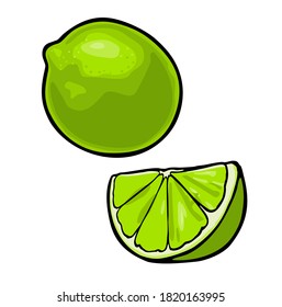 Lime whole and slice. Color vector illustration for label, poster. Isolated on white background