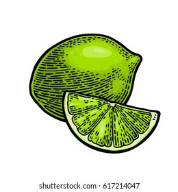 Lime whole and slice. Vintage color vector engraving illustration for label poster web. Isolated on white background