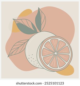 Limequat Fruit Vector Illustration  Vibrant Citrus Hybrid Art