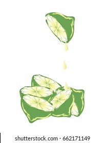 Limes on white background