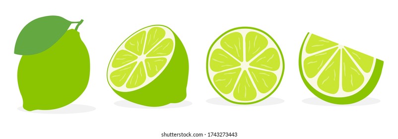 Limes slice. Fresh fruit. Vector illustrations icon