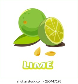 Limes with slices, leaves and seed - vector illustration