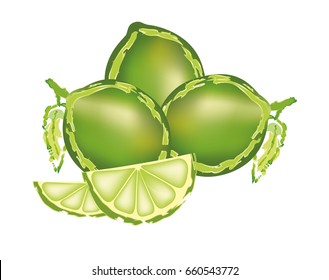 Limes with slices on white background