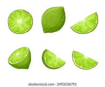 Limes Vektorgrafik Cartoon Illustration Set. Tropische Früchte. Grüne Zitrusfrüchte. Ganze, halbierte geschnittene Limettenfrüchte, isoliert auf weißem Hintergrund. Bio-Früchte für Limonade, gesunde Ernährung. Vektorgrafik Handgezeichnete Kunst.