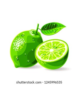 Limes whole a piece with leaf and drops of water on white. Vector illustration. No gradients