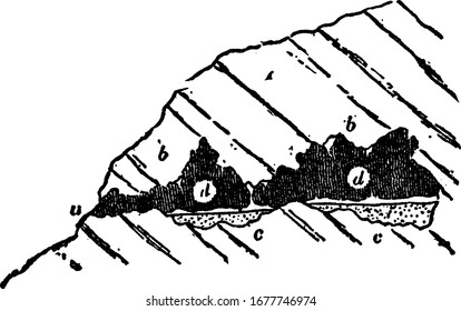Una colina de piedra caliza, perforada por una caverna b) que se comunica con el valle (v) por una abertura (a), el fondo cubierto con loam osifero, dibujo vintage o ilustración grabadora.