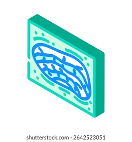 pedra calcária pedreira cimento produção isométrica ícone vetor. pedra calcária pedreira cimento produção sinal. símbolo isolado ilustração