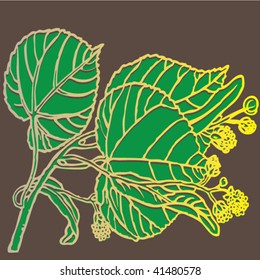 lime-tree branch graphic