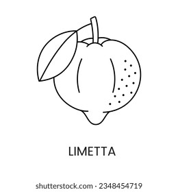 Limetta citrus fruit, line icon in vector to indicate on food packaging about the presence of this allergen