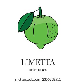 Limetta citrus fruit, line icon in vector to indicate on food packaging about the presence of this allergen