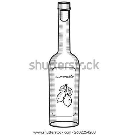 Limoncello bottle vector illustration in sketch style. Hand drawn lemon traditional Italian liqueur line art. Mediterranean classic aperitif.