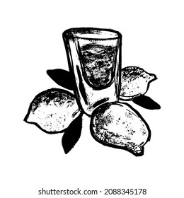 El concepto de bebida de Limoncello. Disparo de vidrio negro y blanco y limones. Ilustración vectorial dibujada a mano vintage en estilo grunge.