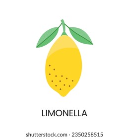Limonella vector illustration conveying juiciness and vibrant color. Ideal for fresh and lively designs