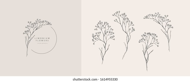 Limonium, babys breath logo and branch. Hand drawn wedding herb, plant and monogram with elegant leaves for invitation save the date card design. Botanical rustic trendy greenery vector illustration