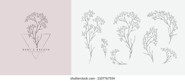 Limonium, Babys Breath Logo And Branch. Hand Drawn Wedding Herb, Plant And Monogram With Elegant Leaves For Invitation Save The Date Card Design