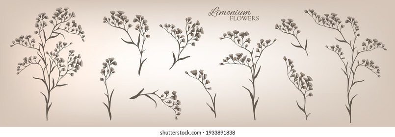 Limonium branches set. Vector illustration.