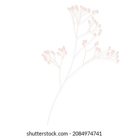 Limonium, wedding grass  stock vector illustration. Delicate elegant floral for an invitation. Cream color. Dry flowers in pastel colors isolated on a white background for invitation design.
