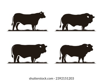 Limousin Cattle Angus and Grass Silhouette Logo Design