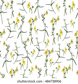 Linaria vulgaris, common, yellow flower or butter-and-eggs is a species of toadflax, snapdragon, Plantaginaceae family, hand drawn vector colorful illustration, seamless floral pattern, herbal design