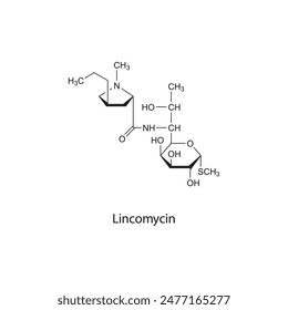 Lincomycin flat skeletal molecular structure Lincosamide antibiotic drug used in bacterial infection treatment. Vector illustration scientific diagram.