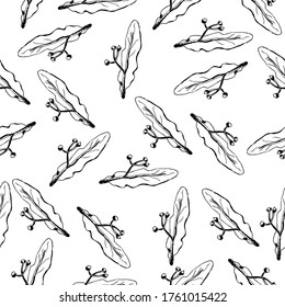 linda seamless pattern. Sketch lime for the lime syrup, lime jam, medical cosmetics