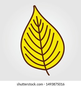 Linden autumn leaf isolated on a white background. Flat design Vector illustration