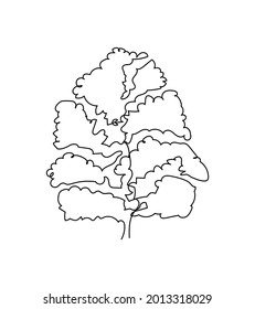 Linden, haya, árbol elminoso de una línea de arte. Dibujo continuo de plantas, hierbas, árboles, madera, naturaleza, álamo, arce, ceniza, castaño, roble, elmo.
