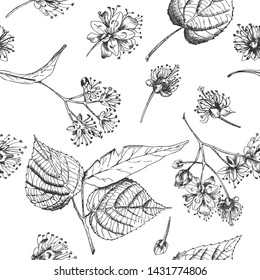 Linden blossom hand drawn seamless pattern with flower, lives and branch in black color on white background. Retro vintage graphic design Botanical sketch drawing, Vector illustration.