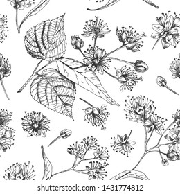 Linden blossom hand drawn seamless pattern with flower, lives and branch in black color on white background. Retro vintage graphic design Botanical sketch drawing, Vector illustration.