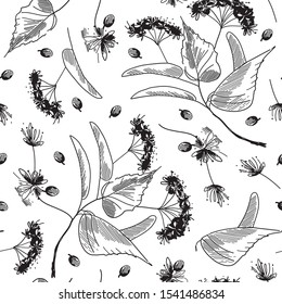 Linden blossom hand drawn seamless pattern with flower and branch. Vintage graphic design sketch drawing. Vector illustration.