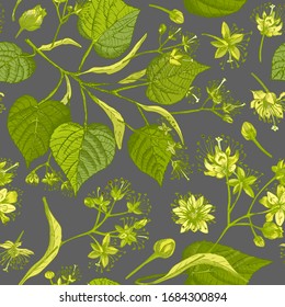 Linden blossom hand drawn seamless pattern with flower, lives and branch in yellow and green colors on gray background. Retro vintage graphic design Botanical sketch drawing, Vector illustration.