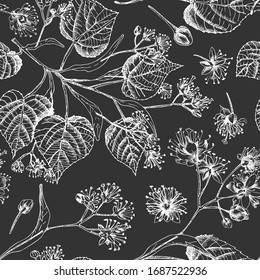 Linden blossom hand drawn seamless pattern with flower, lives and branch in yellow and green colors on chalkboard background. Retro vintage graphic design Botanical sketch drawing Vector illustration.