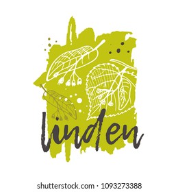 Linden concept design. Hand drawn vector illustration. Herbs and spices. Can be used for farmers market, food festival, menu, cafe, restaurant, bar, poster, banner, emblem, sticker, placard.