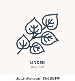 Linden flat line icon. Medicinal plant leaves vector illustration. Thin sign for herbal medicine, tree branch logo.