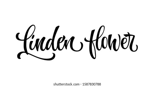 Linden flower - hand drawn spice label. Isolated calligraphy script style word. Vector lettering design element. Labels, shop design, cafe decore etc