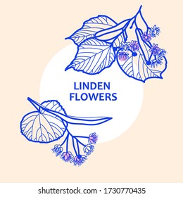 flores de linden sobre un fondo claro en el vector para el embalaje, logotipo, banner. Linden para empaque té, té de hierbas, un menú con ingredientes
