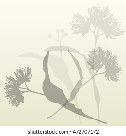 Linden flowers vintage background vector abstract illustration