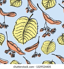 Linden hand drawn seamless pattern illustration. Linden tree blossom and leafs ink sketch drawing. Spring floral elements for design on blue background
