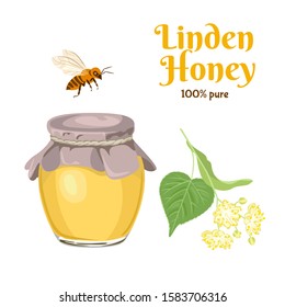 Linden honey in glass jar, bee and twig of flowering linden isolated on white background. Vector illustration of natural organic sweets in cartoon simple flat style.