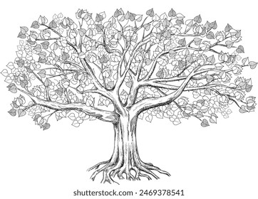  Linden con una Grande corona. La Ilustración vectorial grande se puede utilizar para el diseño como árbol genealógico familiar. 