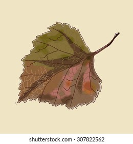 Linden leaf. Hand painted autumn leaf.