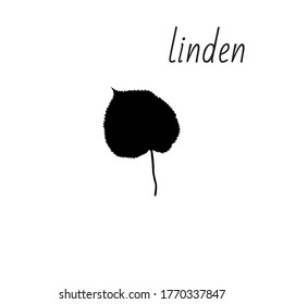 Linden leaf icon isolated on clean background.