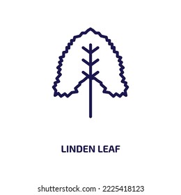 linden leaf icon from nature collection. Thin linear linden leaf, linden, tree outline icon isolated on white background. Line vector linden leaf sign, symbol for web and mobile