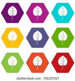 Linden leaf icon set many color hexahedron isolated on white vector illustration