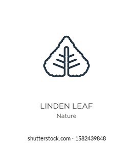 Linden leaf icon. Thin linear linden leaf outline icon isolated on white background from nature collection. Line vector sign, symbol for web and mobile