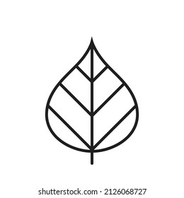 icono de línea de hoja de linden. símbolo botánico y natural. imagen vectorial aislada en estilo simple