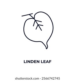 linden leaf outline icon. Linear vector from nature concept. Thin line linden leaf icon isolated on white background