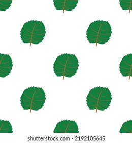 Linden leaf pattern seamless background texture repeat wallpaper geometric vector