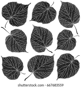 Linden leaves black and white isolated on white background